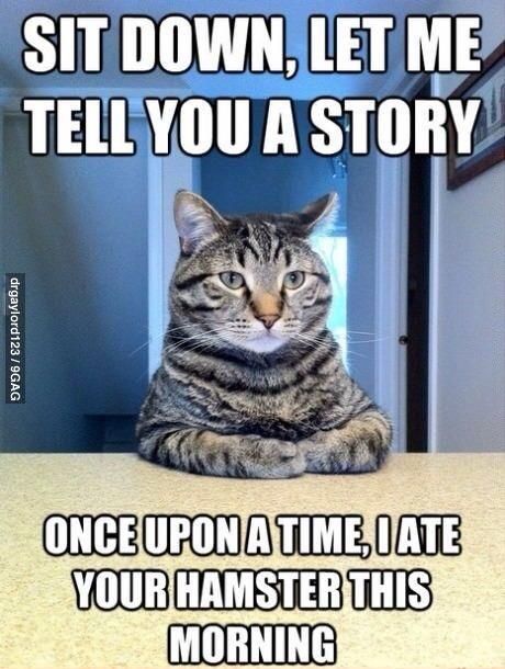 Storytelling